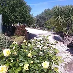Casa Adega - Quinta Amoreira ゲストハウス