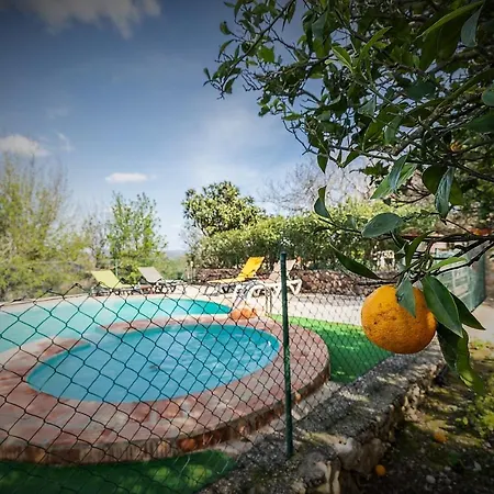 Casa Adega - Quinta Amoreira Гостевой дом 4*