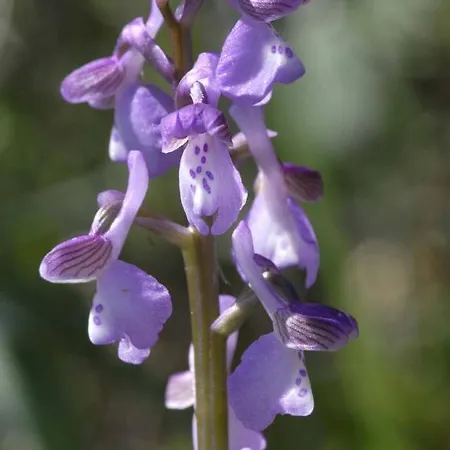 Гостевой дом Casa Adega - Quinta Amoreira 4*
