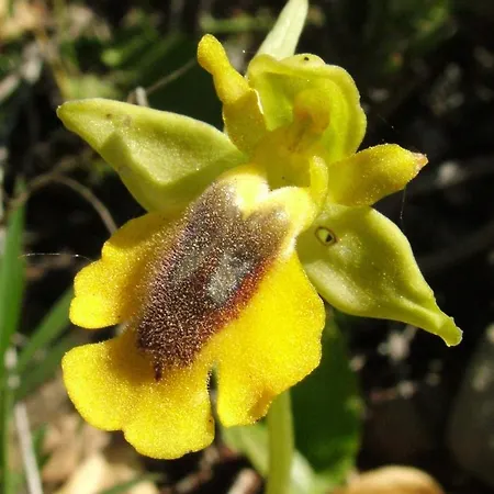 Casa Adega - Quinta Amoreira 4*