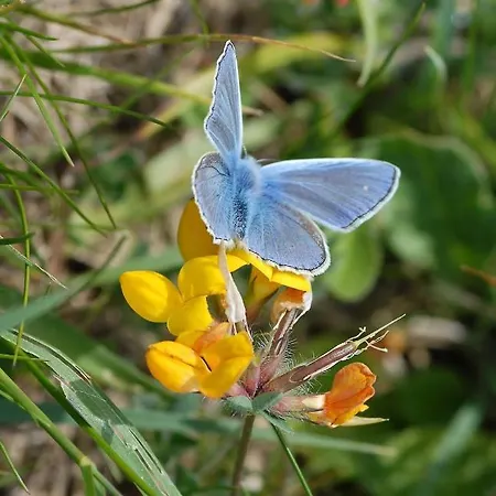 Casa Adega - Quinta Amoreira Benafim