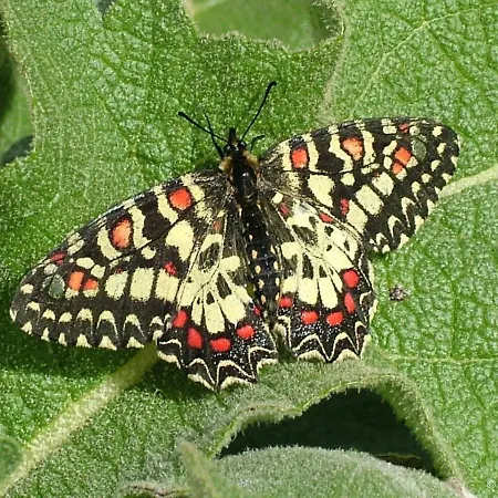 Casa Adega - Quinta Amoreira Benafim