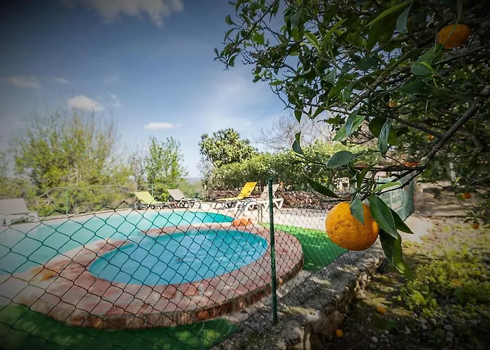 Casa Adega - Quinta Amoreira ゲストハウス 4*