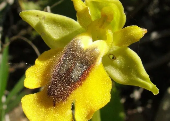 Casa Adega - Quinta Amoreira 4*