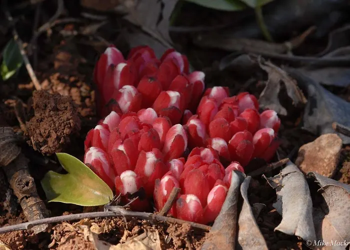 Casa Adega - Quinta Amoreira 4*