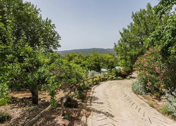 ゲストハウス Casa Adega - Quinta Amoreira