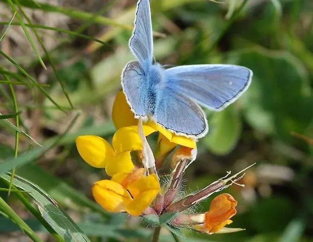 Casa Adega - Quinta Amoreira Benafim