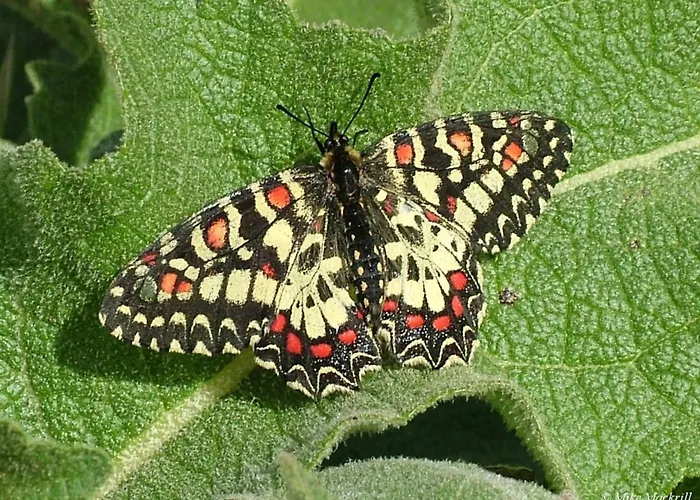 Casa Adega - Quinta Amoreira Benafim
