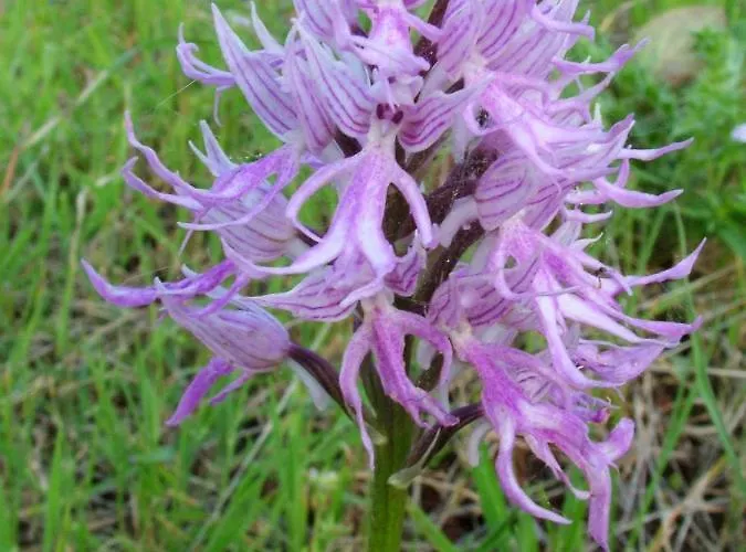 ゲストハウス Casa Adega - Quinta Amoreira Benafim