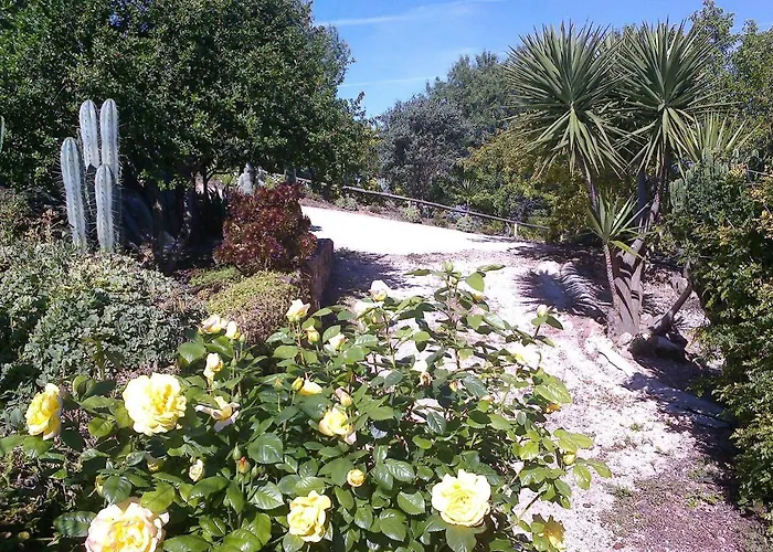 Casa Adega - Quinta Amoreira ゲストハウス