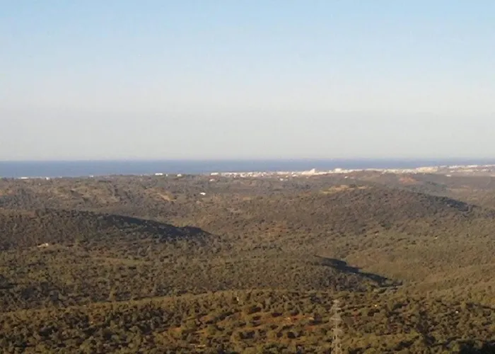 Casa Adega - Quinta Amoreira ゲストハウス 4*