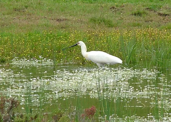 ゲストハウス Casa Adega - Quinta Amoreira Benafim