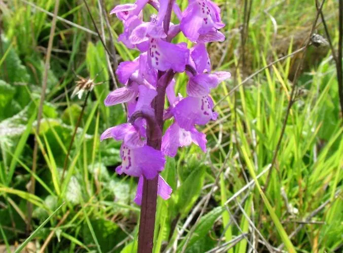 Casa Adega - Quinta Amoreira ゲストハウス 4*