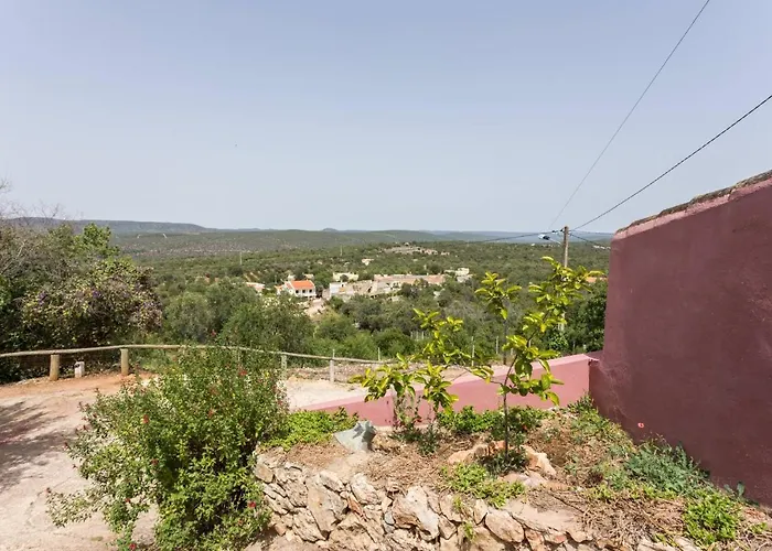 Casa Adega - Quinta Amoreira