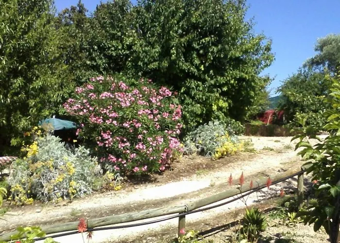 Casa Adega - Quinta Amoreira Benafim