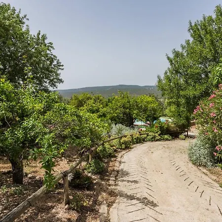 Guest house Casa Adega - Quinta Amoreira