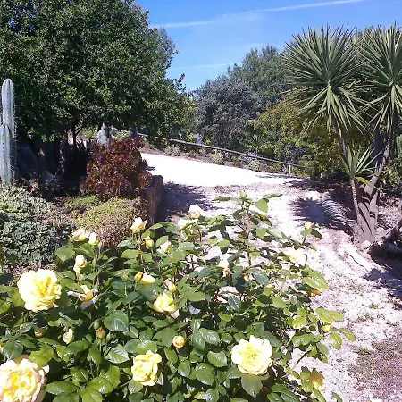 Casa Adega - Quinta Amoreira Guest house