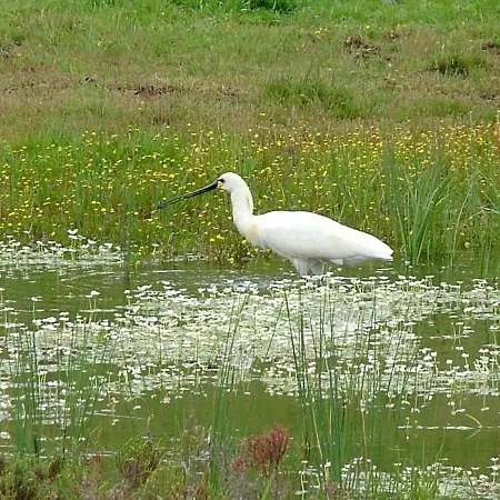 Guest house Casa Adega - Quinta Amoreira Benafim